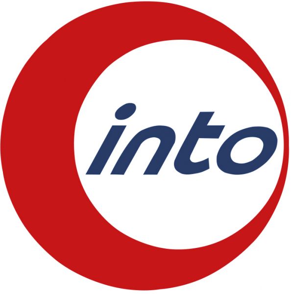 into_logo_2d